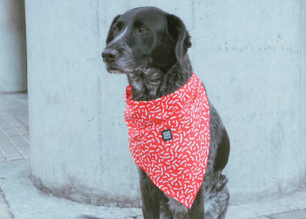 Pañoleta Red Magma Dogpack