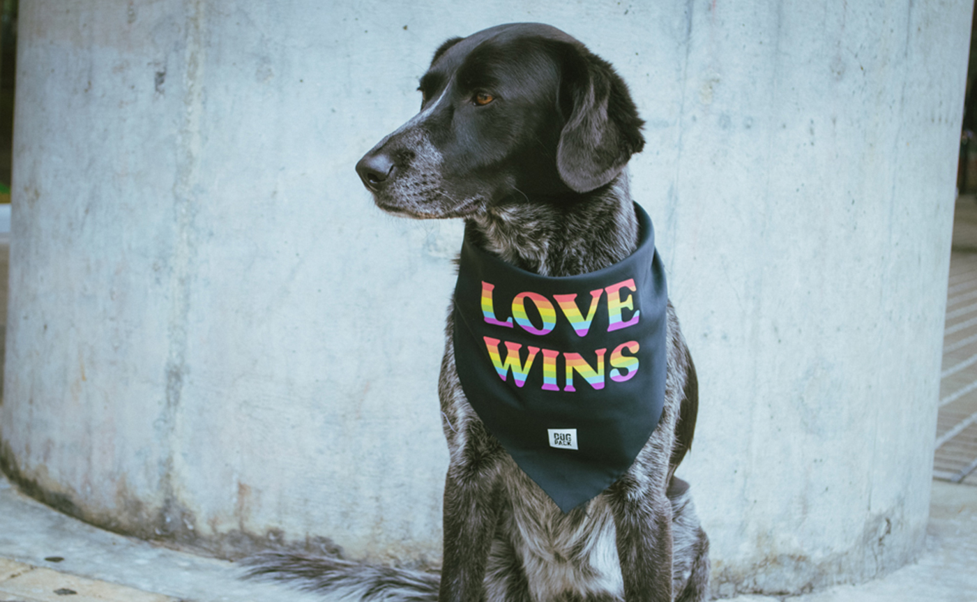 Pañoletas LOVE WINS para peludos